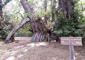 Villa Bonaccorso Casale-splendida Villa Immersa Nella Natura ai Piedi 