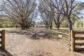 Gas Grill & Fire Pit: Peaceful Dunnellon Home!