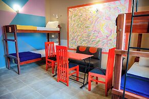 Funk Bunk Mount View Lodge