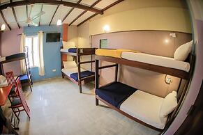 Funk Bunk Mount View Lodge