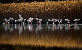 Magical View Studios 2 Asproneri, Kamena Vourla