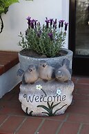 Hotel Villa Sonneck - Adults Only