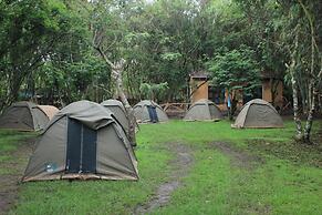 Room in B&B - Red Rocks Rwanda - Tent Twin