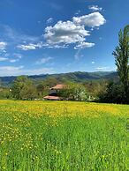 Butteflies Rest
