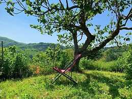 Butteflies Rest