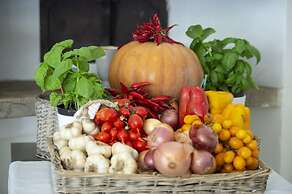 Villa Elio in Positano