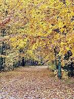 3BDR Home by Torch Lake Sandbar 11931