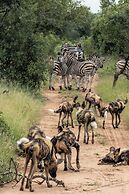 Marepe Mountain View