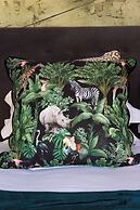 Marepe Mountain View