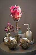 Marepe Mountain View