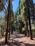 Tenuta di Camporsevoli