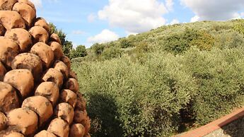 Agriturismo Borgo Santa Lucia Intera Propriet