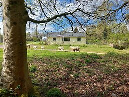 The Bungalow, Forest of Dean