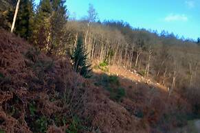 The Bungalow, Forest of Dean