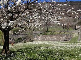 Roseto del Drago