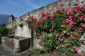 Roseto del Drago