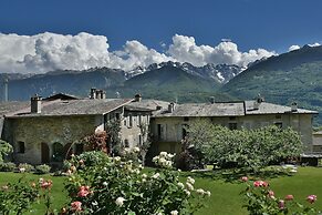 Roseto del Drago