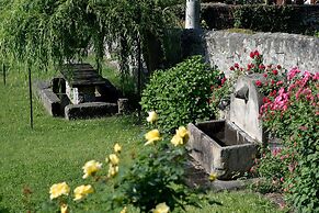 Roseto del Drago