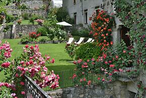 Roseto del Drago