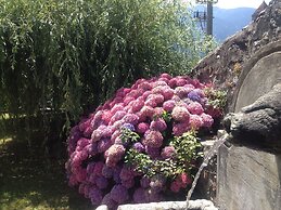 Roseto del Drago