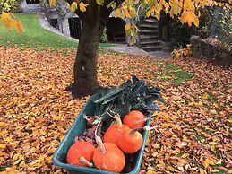 Roseto del Drago