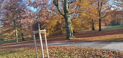 Stadtflair-Apartment