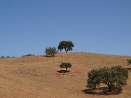 Herdade dos Montes Bastos