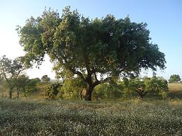 Herdade dos Montes Bastos