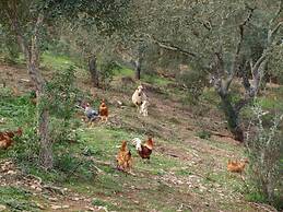 Herdade dos Montes Bastos