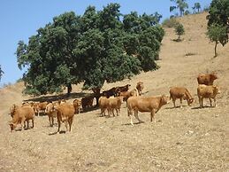 Herdade dos Montes Bastos