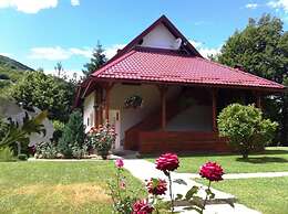 Dalija - Beautiful Nature and View - SA2