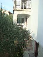 Marija - Olive Garden - A1