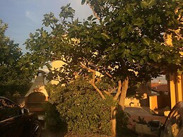 Damir - Free Parking & BBQ - A4