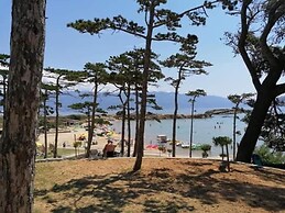 Damir - Free Parking & BBQ - SA1