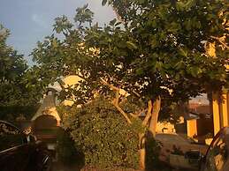 Damir - Free Parking & BBQ - SA1