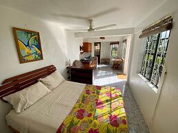 Sea Cliff Eco-Cottages & Gin Distillery