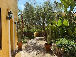 Desert Springs Resort