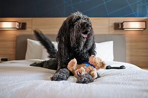 Springhill Suites By Marriott Avon Vail Valley