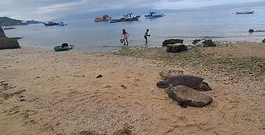 Fins Pacific Coral Bay by Hiverooms