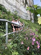 Peaceful Mountain Homestay