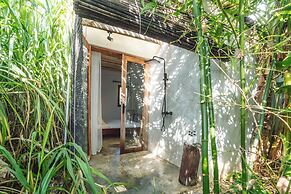 Bamboo Zanzibar