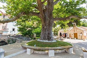 Villa Platanus With Private Pool & Sea View