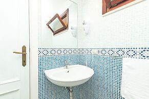 Eucalyptus 205
