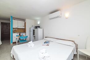 Eucalyptus 205