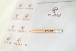 Pelagus Luxury Villas