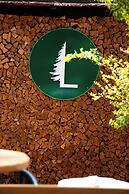 Luahara Glamping Tapalpa – Domo Natural Experience