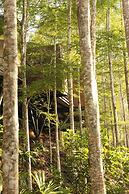 Madeira Hotel Boutique