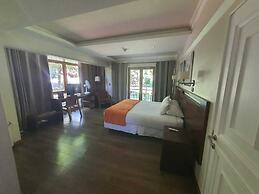 Hotel y Cabañas Palomar - Caja los Andes