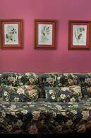 Molucano Themed Rooms