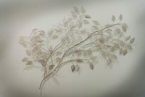 Molucano Themed Rooms